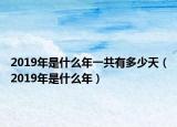 2019年是什么年一共有多少天（2019年是什么年）