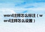 word注释怎么标注（word注释怎么设置）
