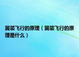 翼装飞行的原理（翼装飞行的原理是什么）
