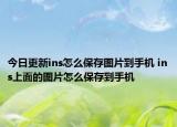 今日更新ins怎么保存图片到手机 ins上面的图片怎么保存到手机