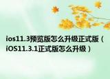 ios11.3预览版怎么升级正式版（iOS11.3.1正式版怎么升级）