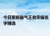 今日更新霸气王者荣耀名字精选