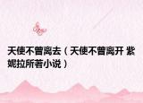 天使不曾离去（天使不曾离开 紫妮拉所著小说）