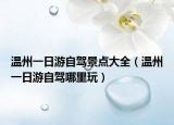 温州一日游自驾景点大全（温州一日游自驾哪里玩）