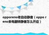 opporeno老自动静音（oppo reno来电翻转静音怎么开启）