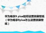 华为畅享9 plus如何设置锁屏壁纸（华为畅享9plus怎么设置锁屏壁纸）