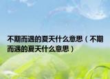 不期而遇的夏天什么意思（不期而遇的夏天什么意思）