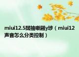 miui12.5闊抽噺鎺у埗（miui12声音怎么分类控制）