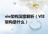 vie架构深度解析（VIE架构是什么）
