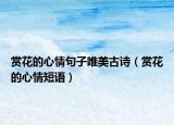 赏花的心情句子唯美古诗（赏花的心情短语）