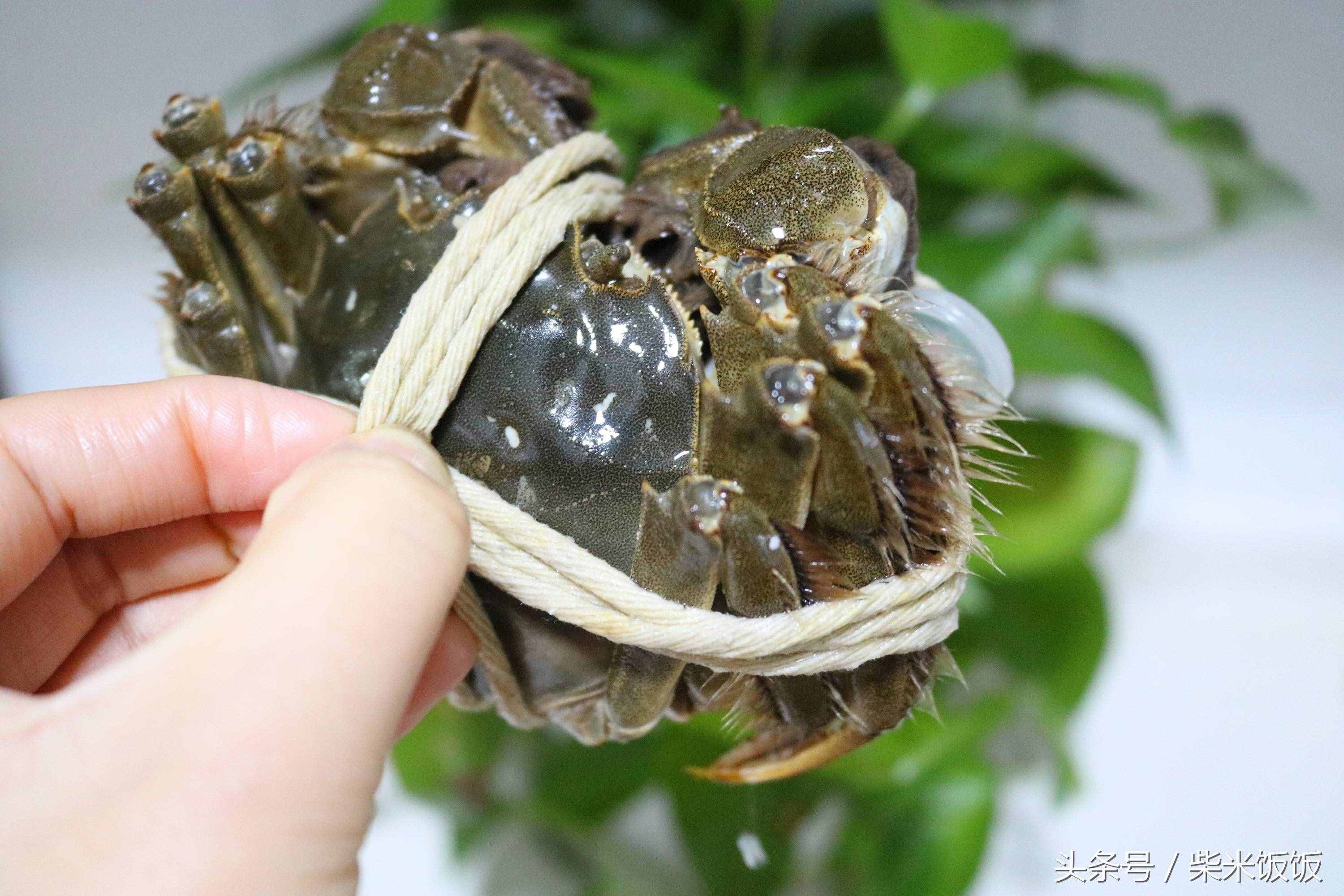 大闸蟹怎么洗？怎么蒸？怎么吃？这三点很多人都做错了！