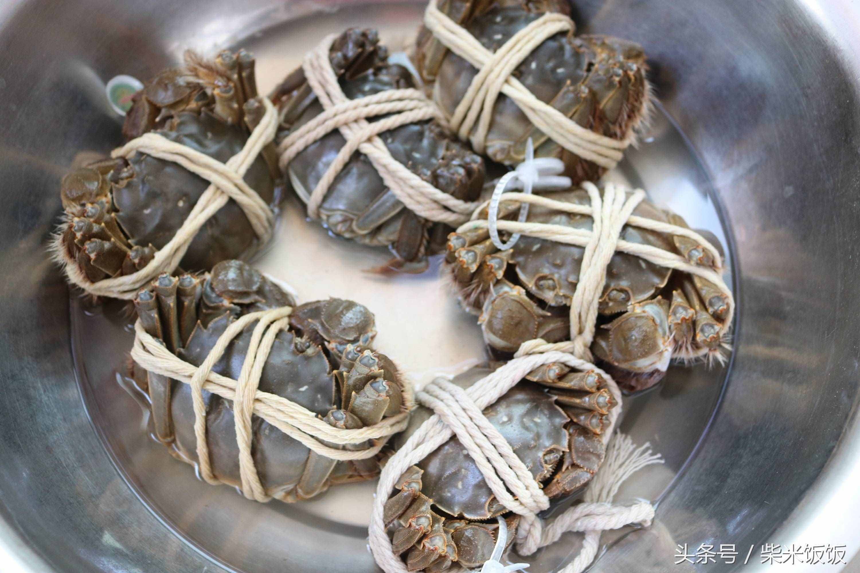 大闸蟹怎么洗？怎么蒸？怎么吃？这三点很多人都做错了！