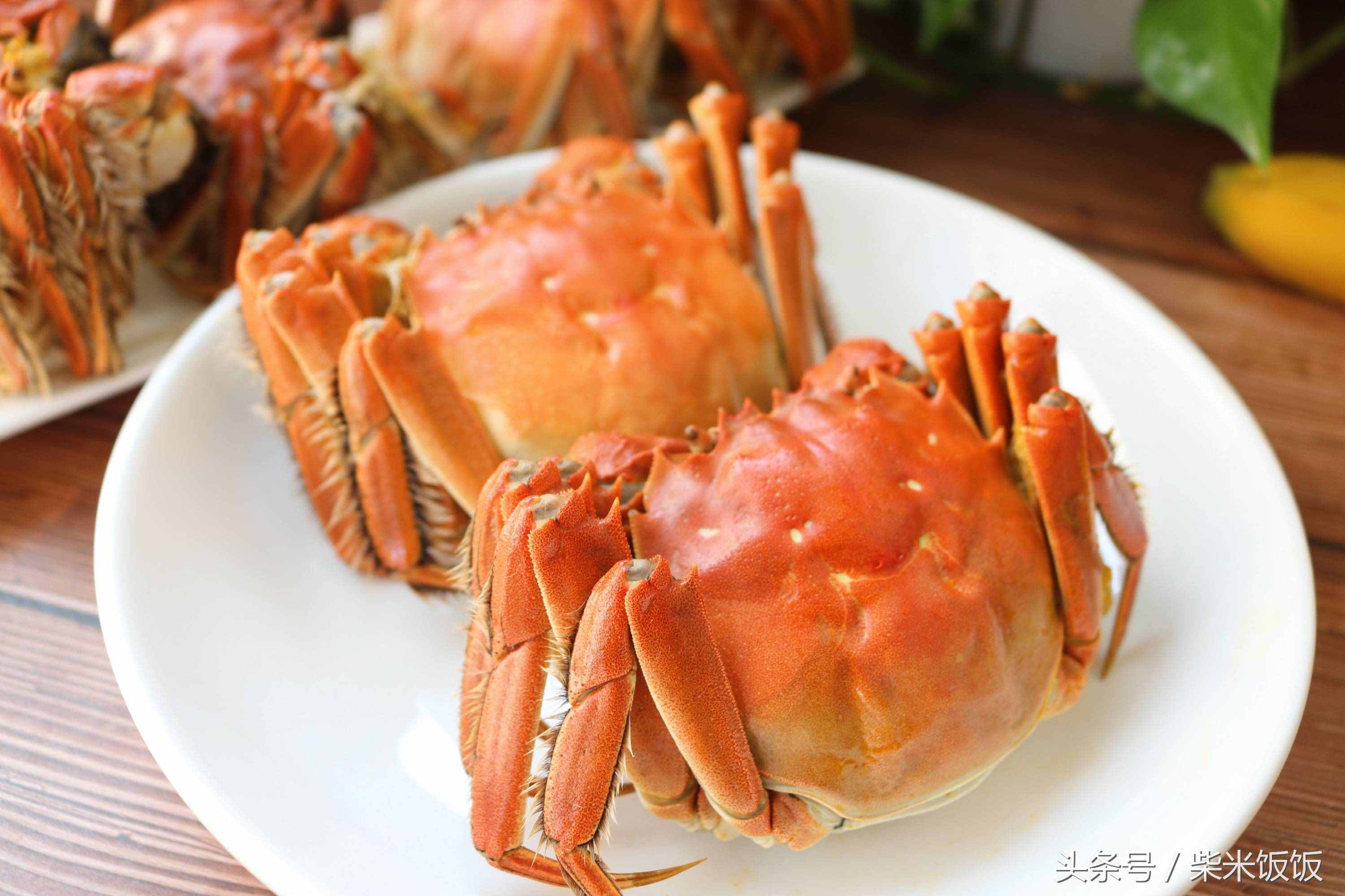 大闸蟹怎么洗？怎么蒸？怎么吃？这三点很多人都做错了！