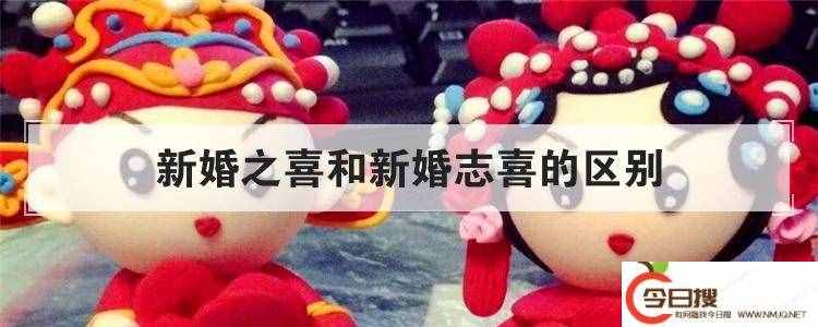 新婚之喜和新婚志喜的区别