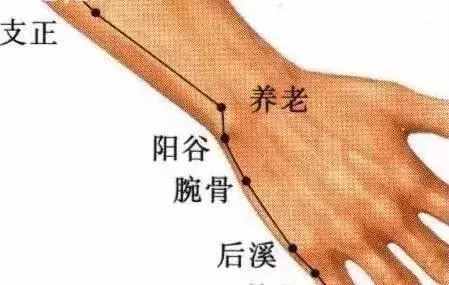 手腕这个“养老穴”，专治各种老年病！