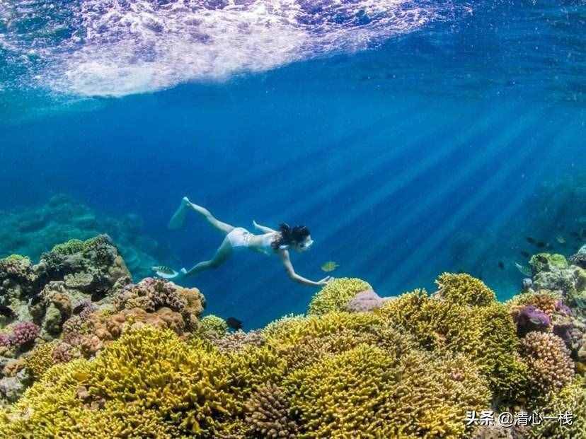 人生在世，如鱼饮水，冷暖自知