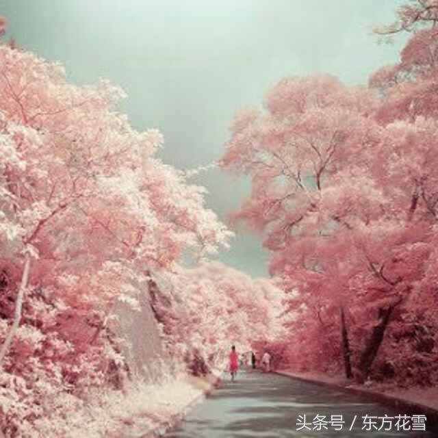 世界上，没有迟到的缘分