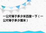 一公尺等于多少米百度一下（一公尺等于多少厘米）