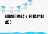 蚓螈目图片（蚓螈的特点）
