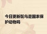 今日更新鸵鸟是国家保护动物吗