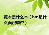 黄木是什么木（hm是什么面积单位）