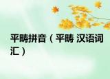 平畴拼音（平畴 汉语词汇）