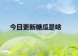 今日更新糖瓜是啥