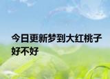 今日更新梦到大红桃子好不好