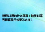 魅族15用的什么屏幕（魅族15系列屏幕显示效果怎么样）