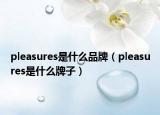 pleasures是什么品牌（pleasures是什么牌子）