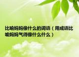 比喻妈妈像什么的词语（用成语比喻妈妈气得像什么什么）