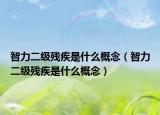 智力二级残疾是什么概念（智力二级残疾是什么概念）