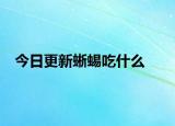 今日更新蜥蜴吃什么