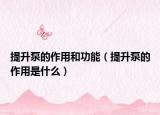 提升泵的作用和功能（提升泵的作用是什么）
