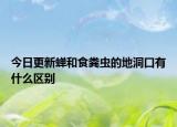 今日更新蝉和食粪虫的地洞口有什么区别