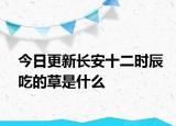 今日更新长安十二时辰吃的草是什么