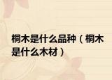 桐木是什么品种（桐木是什么木材）
