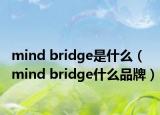 mind bridge是什么（mind bridge什么品牌）