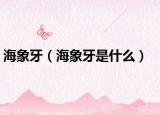 海象牙（海象牙是什么）