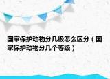 国家保护动物分几级怎么区分（国家保护动物分几个等级）