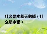 什么是水貂天鹅绒（什么是水貂）