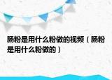 肠粉是用什么粉做的视频（肠粉是用什么粉做的）