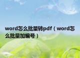 word怎么批量转pdf（word怎么批量加编号）