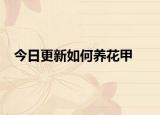 今日更新如何养花甲
