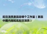 配音演员夏磊是哪个工作室（夏磊 中国内地知名配音演员）