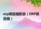 erp项目组职责（ERP项目组）