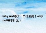 why not等于一个什么词（why not等于什么）
