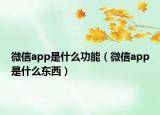 微信app是什么功能（微信app是什么东西）