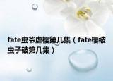 fate虫爷虐樱第几集（fate樱被虫子破第几集）