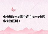 小卡和lomo哪个好（lomo卡和小卡的区别）